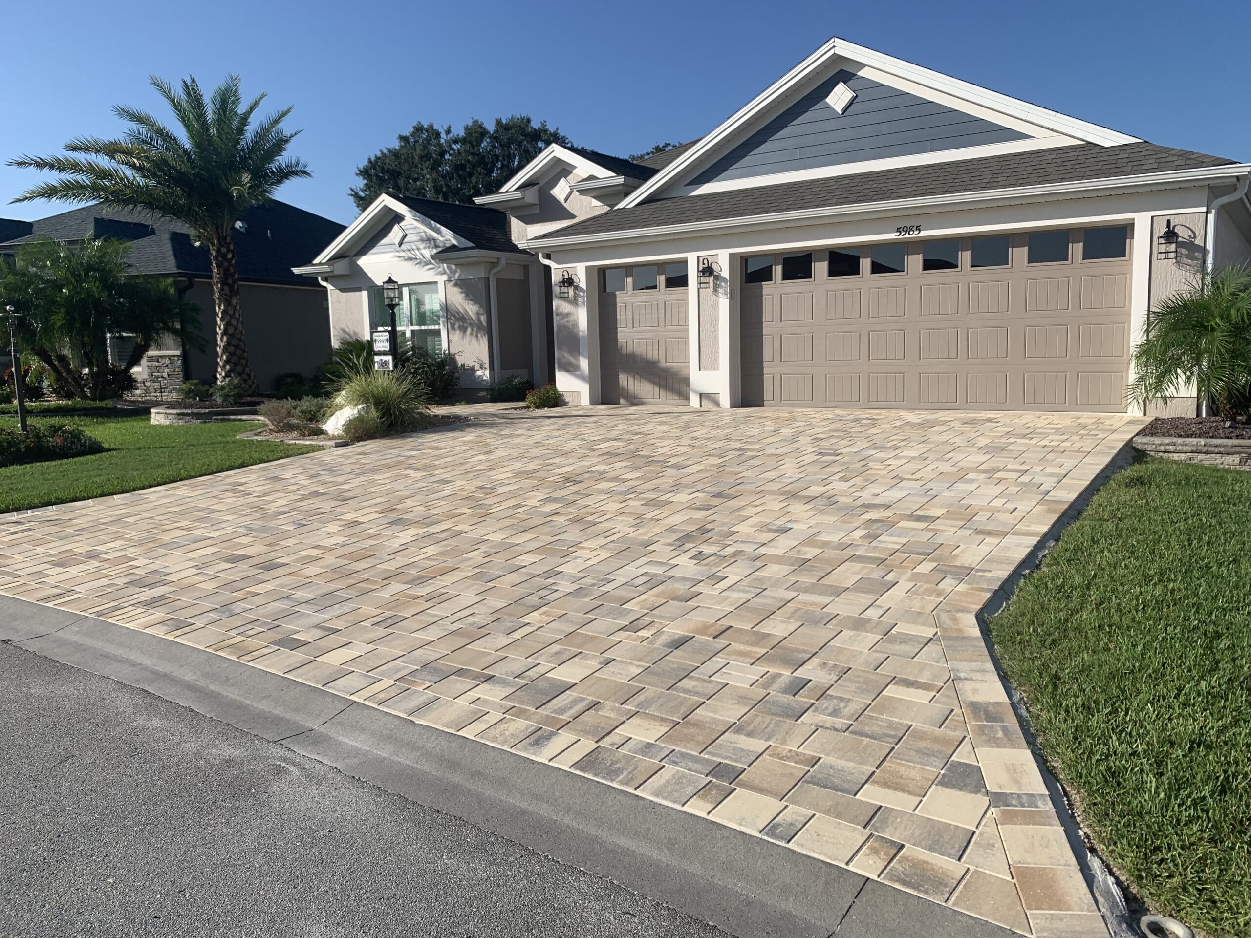 Sealed driveway with palm tree